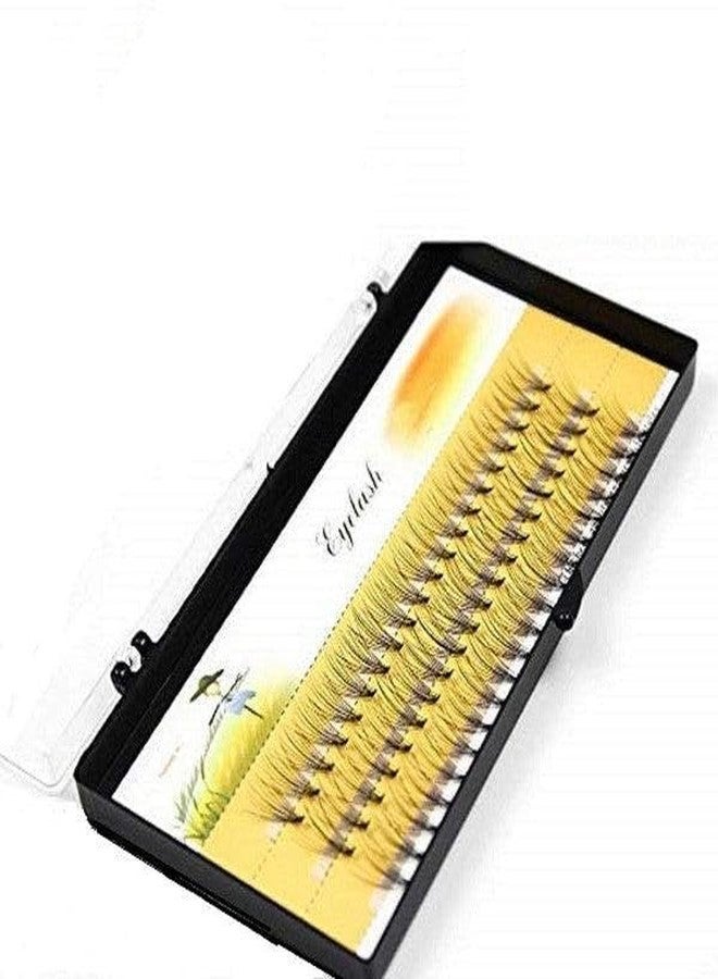 Digital Shoppy Natural Long Individual Flare Cluster False Eyelashes 10D Mink Eyelash Extension - 60 bundles/box (D, 10mm) - Image 1