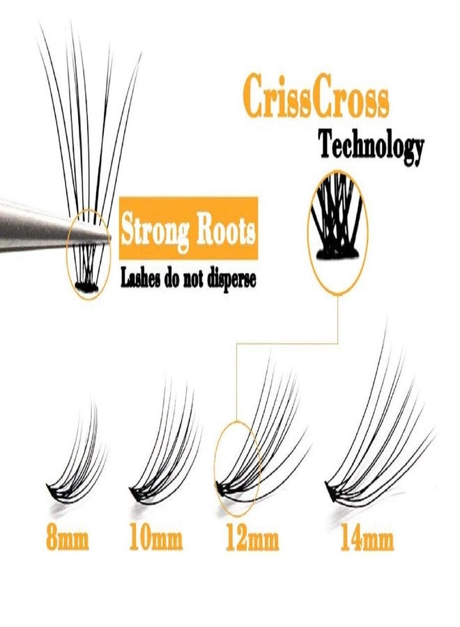 Digital Shoppy Natural Long Individual Flare Cluster False Eyelashes 10D Mink Eyelash Extension - 60 bundles/box (D, 10mm) - Image 4