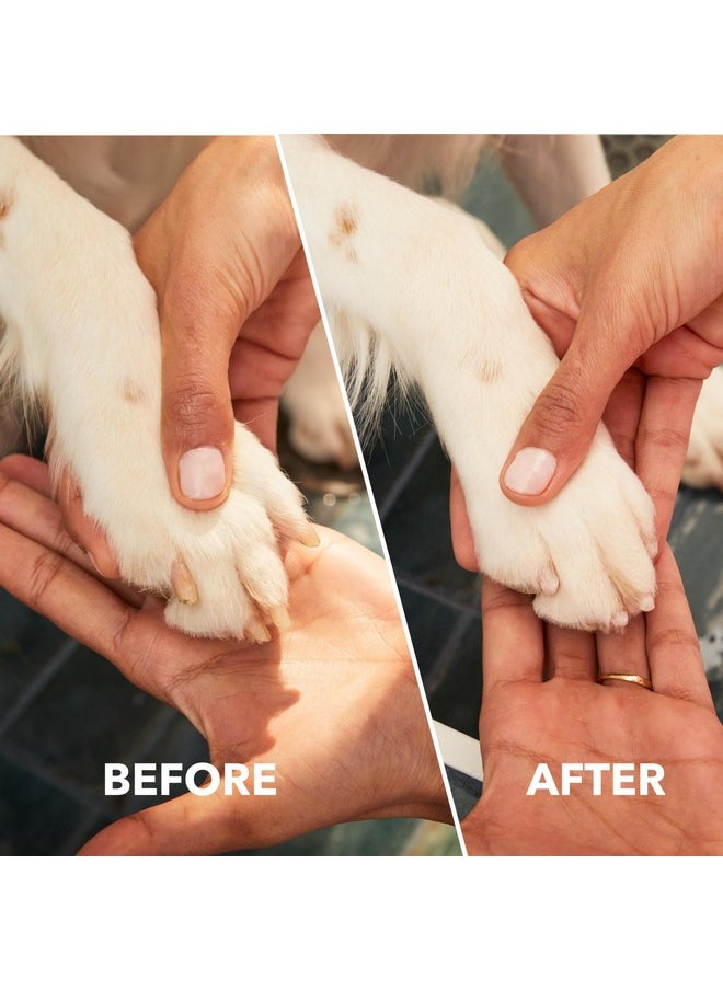 درمل Dremel PawControl 7760-PGK مبرد أظافر الكلاب وقصها - مجموعة أدوات العناية بالحيوانات الأليفة اللاسلكية والقابلة لإعادة الشحن - آمنة وإنسانية للكلاب والقطط والحيوانات الصغيرة  - Image 3