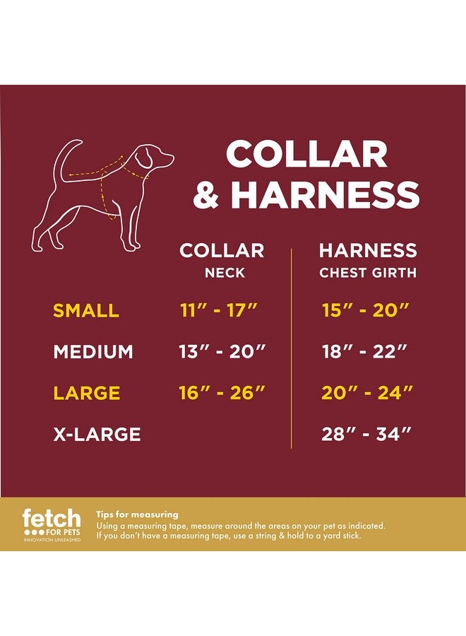 هاري بوتر طوق كلب هاري بوتر رافنكلو، مقاس متوسط | طوق كلب متوسط، طوق كلب أزرق | ملابس وإكسسوارات كلاب لمنازل هوجورتس، طوق كلب رافنكلو للحيوانات الأليفة - Image 5