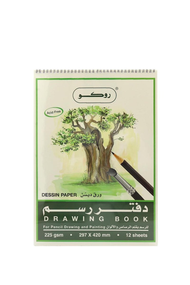 ROCO Sketch Book 225 gsm Assorted ColorA3