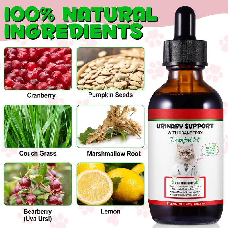Yecuce Cost effective global grade quality Feline Urinary Tract Health, Cat UTI Remedy, Natural Herbal Supplement 2 fl oz, Supporting Regular Care for Urinary Health Surface safe - Image 5