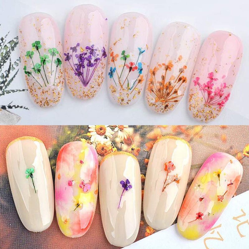 KINGMAS 12 Colors Dried Flowers for Nail Art, 1 Box Dry Flowers Mini Real Natural Flowers Nail Art Supplies 3D Applique Nail Decoration Sticker Decor (A) - Image 4