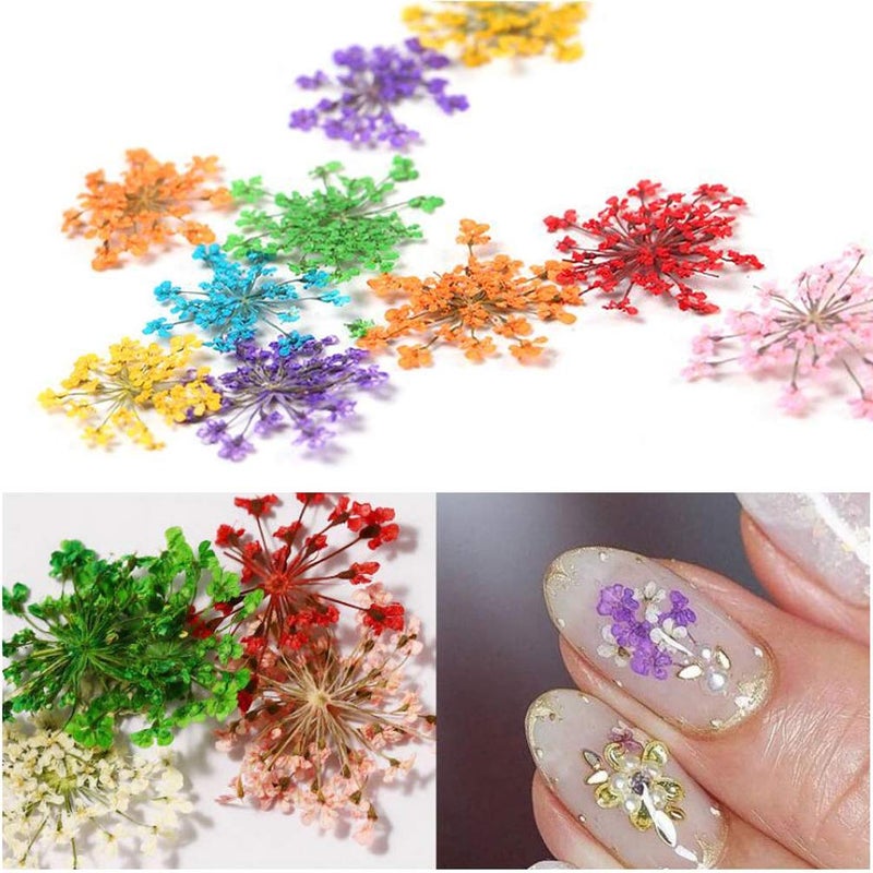 KINGMAS 12 Colors Dried Flowers for Nail Art, 1 Box Dry Flowers Mini Real Natural Flowers Nail Art Supplies 3D Applique Nail Decoration Sticker Decor (A) - Image 5