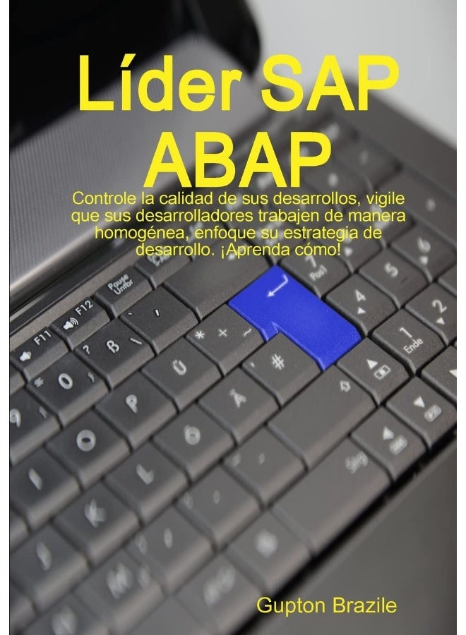 Líder SAP ABAP - Image 1