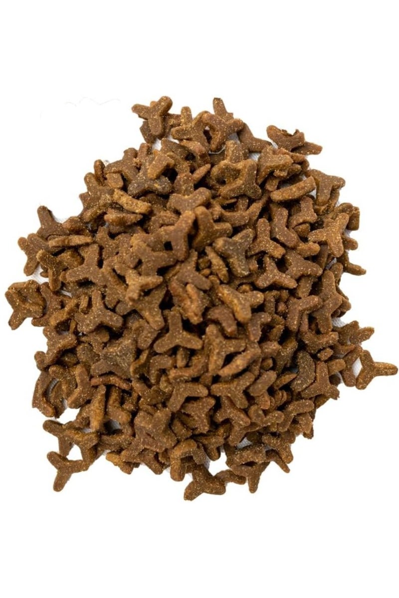 دودزي ١٠ كجم طعام القطط دودزي سوبر برميم  يحتوي على لحم دجاج حقيقي، لجميع مراحل الحياة - Image 3