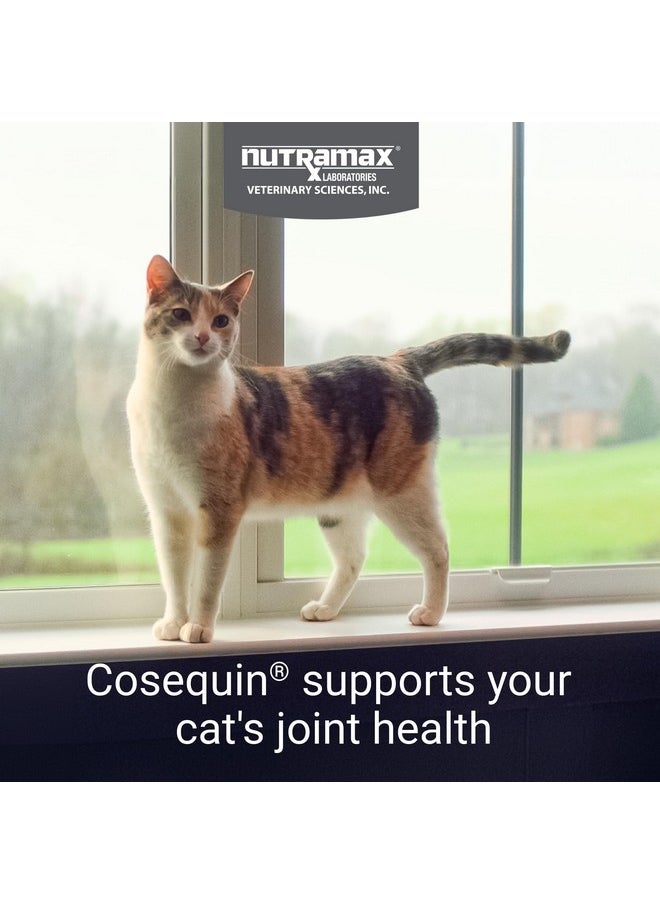 Nutramax Laboratories Nutramax Cosequin Joint Health Supplement for Cats - With Glucosamine, Chondroitin, and Omega-3, 60 Soft Chews  - Image 2