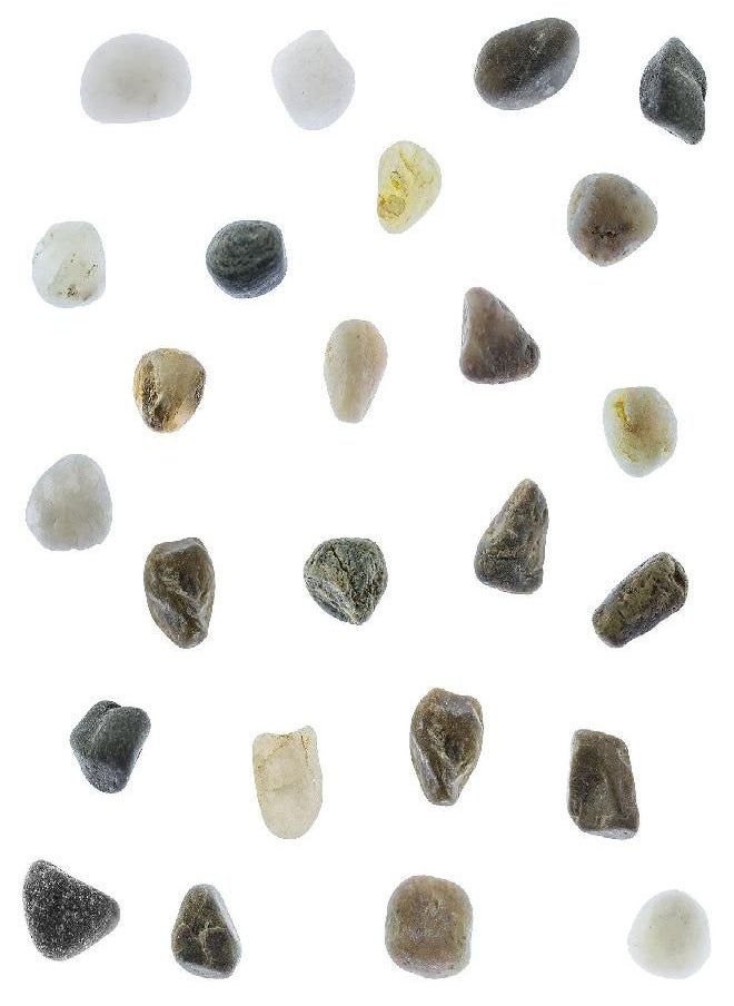Super Z Outlet - Super Z Outlet Tiny Miniature Fairy Garden Beach Rock Pebbles Collection for Art & Craft Project, Outdoor & Indoor Home Garden Decoration, Party Favor, Invitation (1 Pound Bag) - Image 1