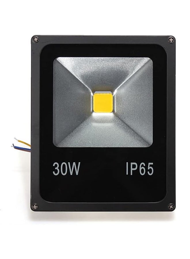 Generic LED Flood Light 30 Watt 