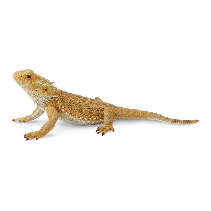 CollectA Bearded Dragon Lizard Toy Figure - Authentic Hand Painted Model , Tan , 1.6 inch - Image 1