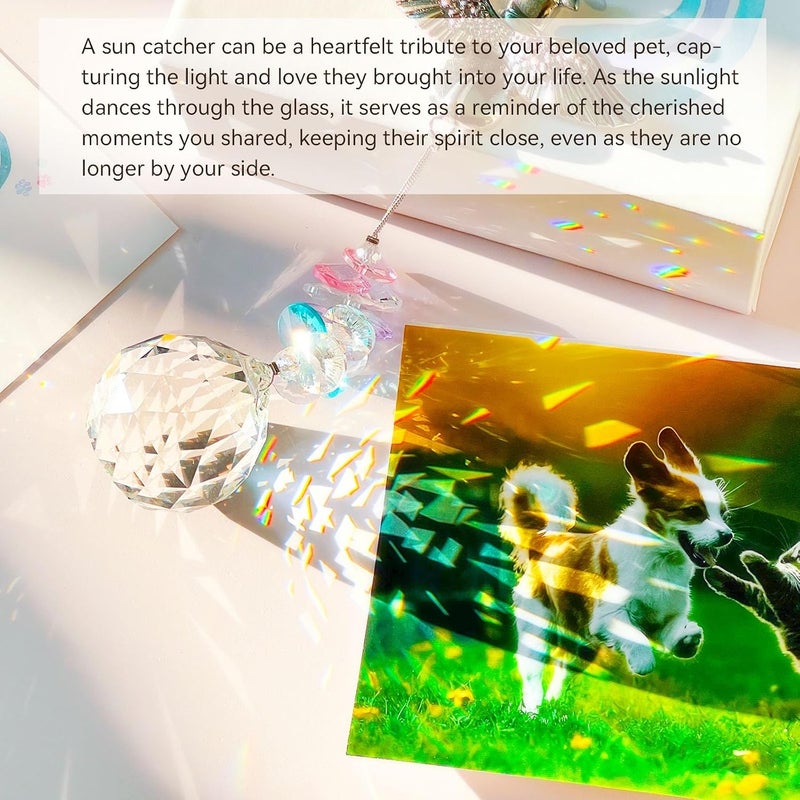 AMETHUARTZ Angle Dog Memorial Crystal Suncatcher - Pet Sympathy Gift for Loss of Dog, Passing Away Remembrance Memory Sun Catcher for Dog Lovers, Garden Decor Pet Bereavement Rainbow Ornaments - Image 3