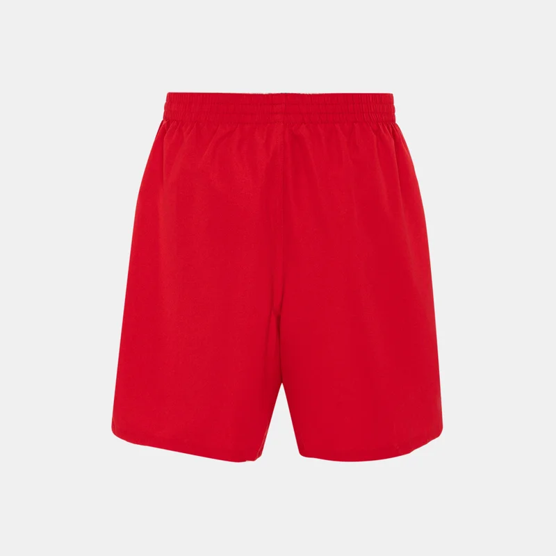 Nike Men's Volley Swimming Shorts