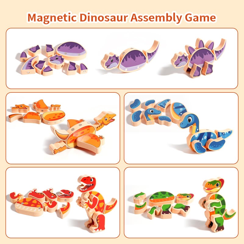 INIFEIDALA Wooden Magnetic Take Apart Dinosaur Building Blocks, Build Your Own Dinosaur Playset, STEM Montessori Educational Toy for Fine Motor Skills, Birthday Gift for 3-6 Year Old Boys Girls - Image 4