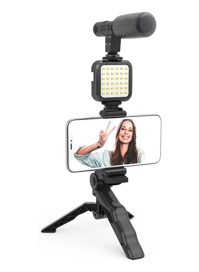 ELTRAZONE LED Video Light + Microphone + Mobile Phone Holder + Hand Grip/Mini Tripod Compatible with Smartphones for TikTok, Youtube, Live Streaming and Meetings - Image 1