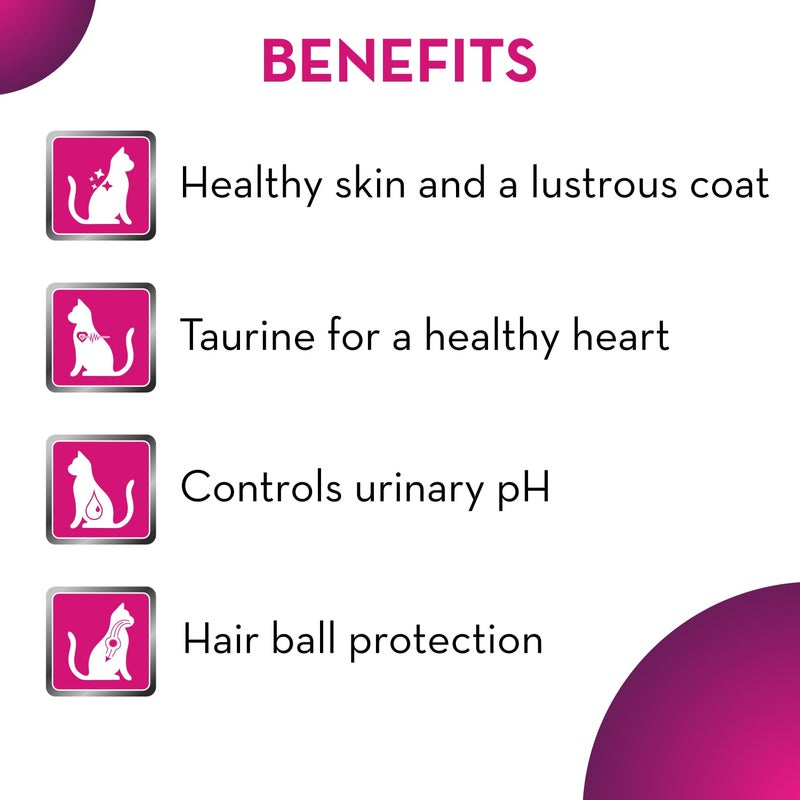 Maxi Ocean Fish Dry Cat Food 1.2kg, Adult - Image 2