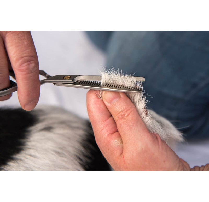 Trixie: - Professional Trimming Scissors | Stainless Steel Pet Grooming Scissors | Used for Shortening and Shaping The Fur Length | The Design Allows You to Grip Them Very Comfortably - 20cm - Image 4