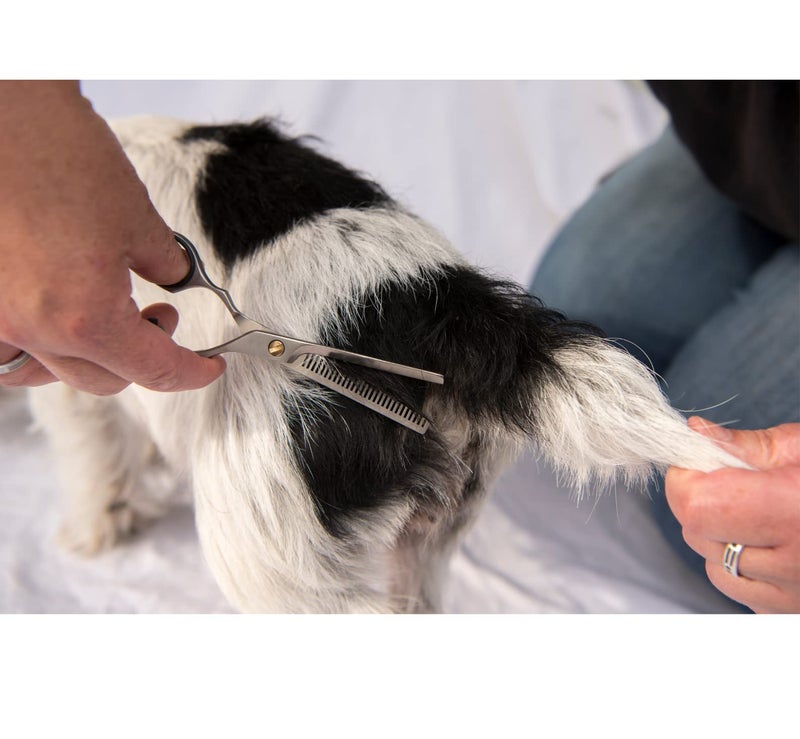 Trixie: - Professional Trimming Scissors | Stainless Steel Pet Grooming Scissors | Used for Shortening and Shaping The Fur Length | The Design Allows You to Grip Them Very Comfortably - 20cm - Image 5