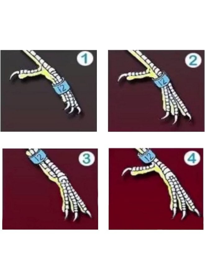 STPCTOU Bird Rings, Bird Bands, Bird Leg Rings, Multicolor Aluminum Pigeon Leg Rings, Identification Pigeon Training Rings Hibiscus Birds, Parrots, Peonies, Pigeons, Mixed Colors 50 Per Pack - Image 3