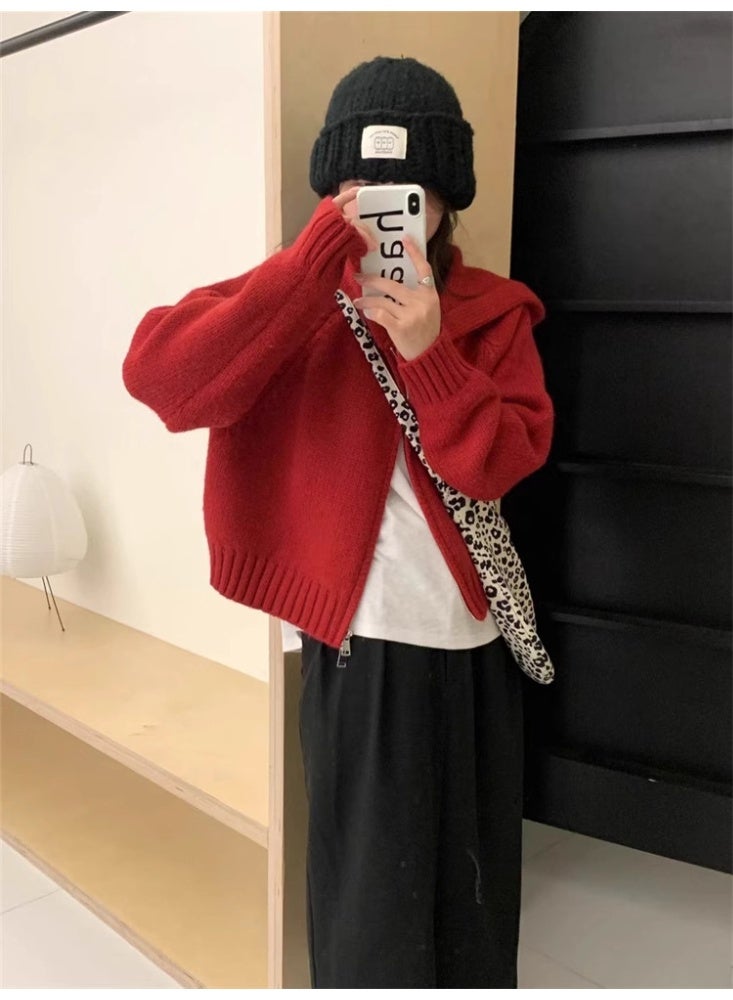 NIBEMINENT Solid Color Knitted Zipper Cardigan for Women Autumn Winter Short Hooded Sweater Jacket Female Casual All-Match Loose Knitwear