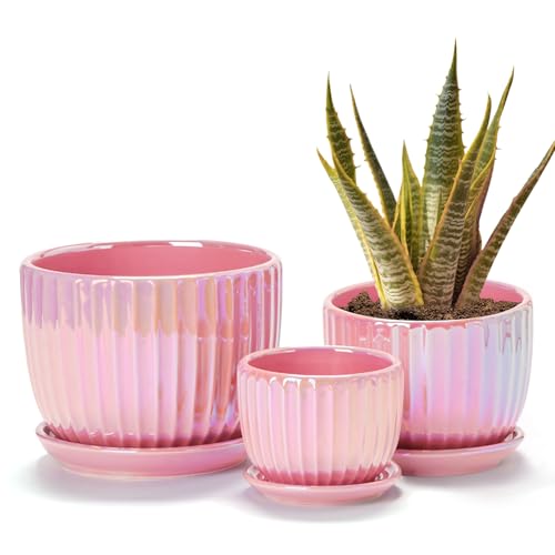 Ton Sin Pink Gold Ceramic Flower Pots, 4"+5"+6" Inch Small Glazed Succulent Planters with Drainage Hole,Modern Indoor Decorative Plant Pots Set of 3,Garden Pots with Saucer - Image 1