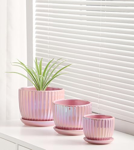 Ton Sin Pink Gold Ceramic Flower Pots, 4"+5"+6" Inch Small Glazed Succulent Planters with Drainage Hole,Modern Indoor Decorative Plant Pots Set of 3,Garden Pots with Saucer - Image 4