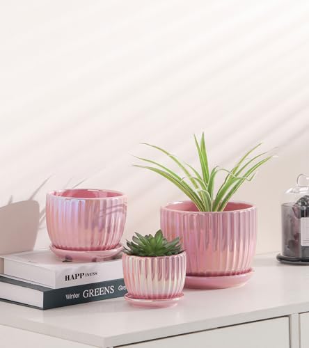 Ton Sin Pink Gold Ceramic Flower Pots, 4"+5"+6" Inch Small Glazed Succulent Planters with Drainage Hole,Modern Indoor Decorative Plant Pots Set of 3,Garden Pots with Saucer - Image 3