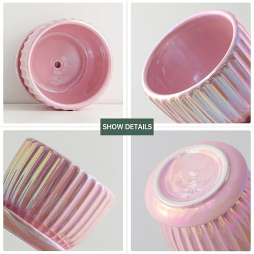 Ton Sin Pink Gold Ceramic Flower Pots, 4"+5"+6" Inch Small Glazed Succulent Planters with Drainage Hole,Modern Indoor Decorative Plant Pots Set of 3,Garden Pots with Saucer - Image 5