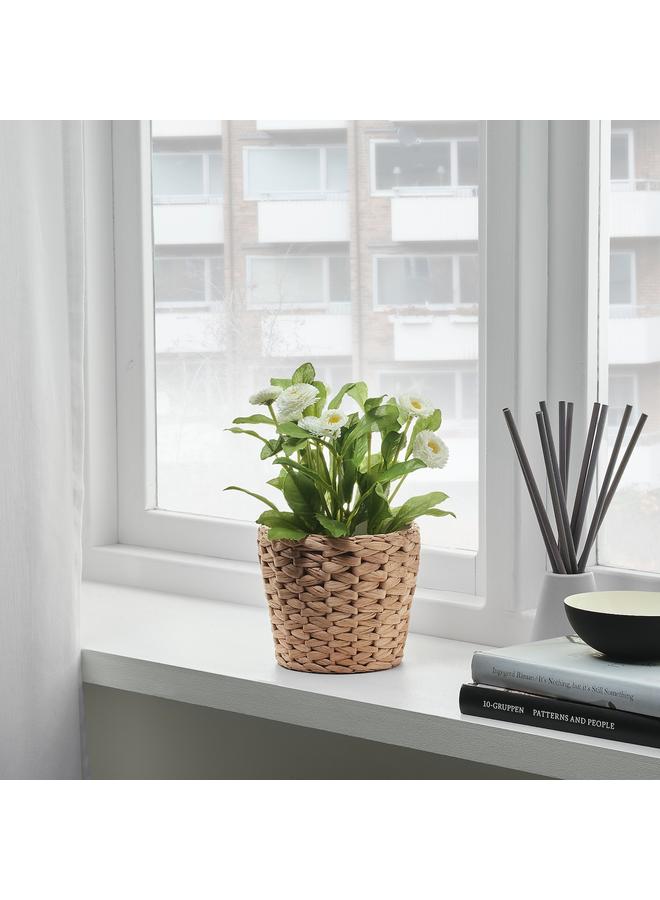 Zaboon Plant Pot, Water Hyacinth, 12 Cm - Image 4