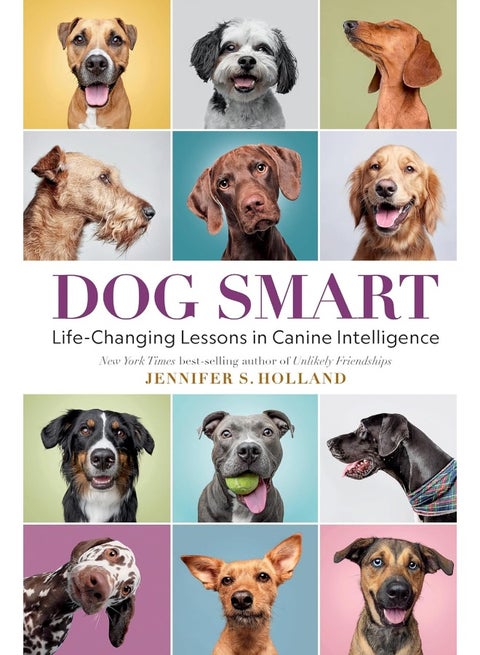 Dog Smart: Life-Changing Lessons in Canine Intelligence