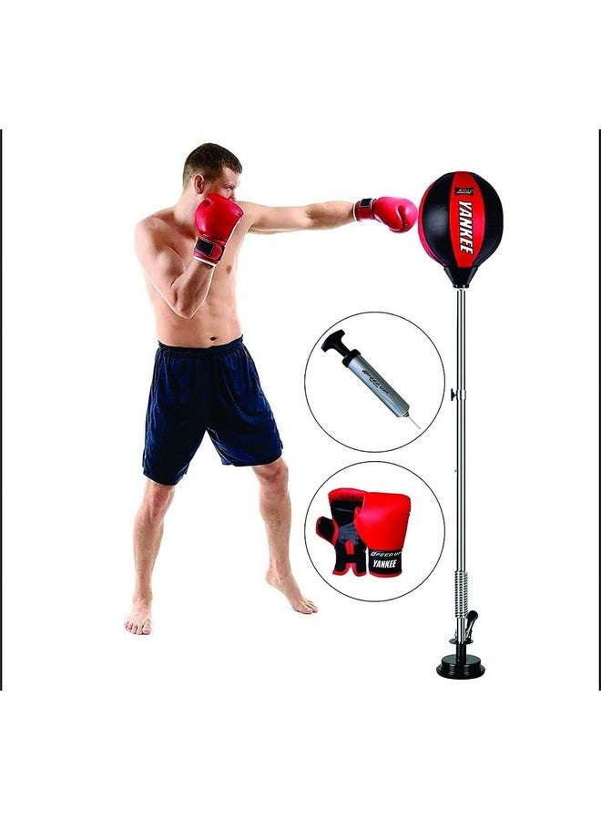 Speed Up Boxing Trainer Yankee for Kids Age 10Y+ - Image 3