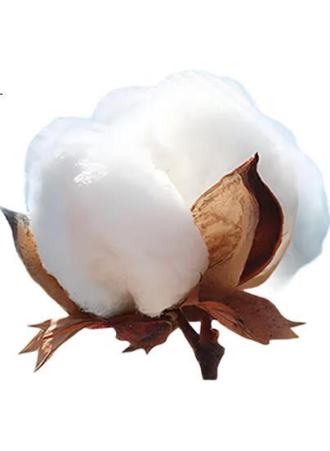 FIRS 100% Pure Cotton Short Sleeve Polo Shirt Men'S Summer High-End Wrinkle-Free Turn-Down Collar T-Shirt Navy Blue 2Xl - Image 3