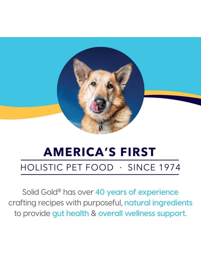 solid gold - Weight Management Dog Food  Fit & Fabulous Wet Grain Free Dog Food Made With Real Chicken, Sweet Potato And Green Bean  For Weight Control And Dogs With Sensitive Stomachs - Image 1