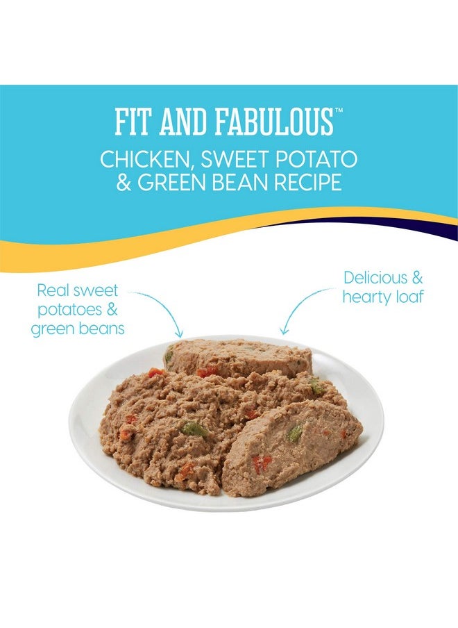 solid gold - Weight Management Dog Food  Fit & Fabulous Wet Grain Free Dog Food Made With Real Chicken, Sweet Potato And Green Bean  For Weight Control And Dogs With Sensitive Stomachs - Image 1