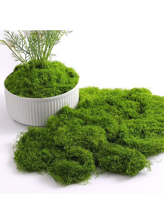 Realfrog 200g Moss Grass Perfectly Simulates Artificial Moss Fake Green Grass for Centerpieces Home Kitchen Garden Decor Preserved Forest Moss  - Image 4