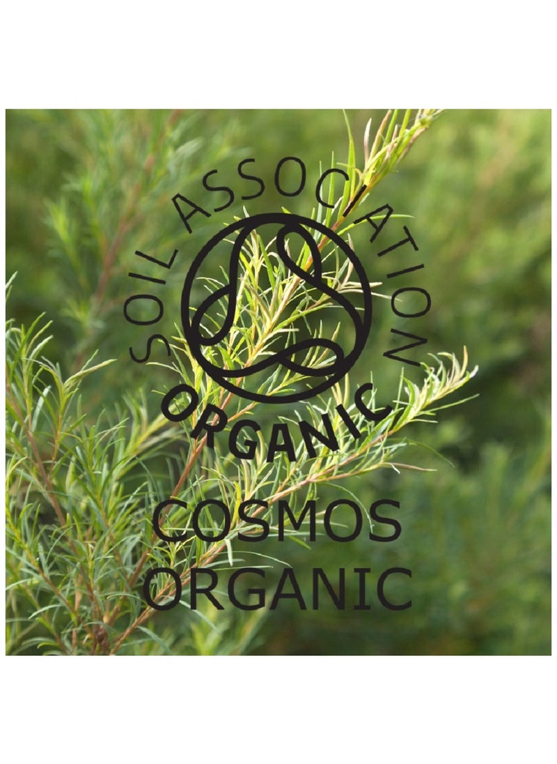 Absolute Aromas - Tea Tree Organic Pure Essential Oil 10ml - Image 1