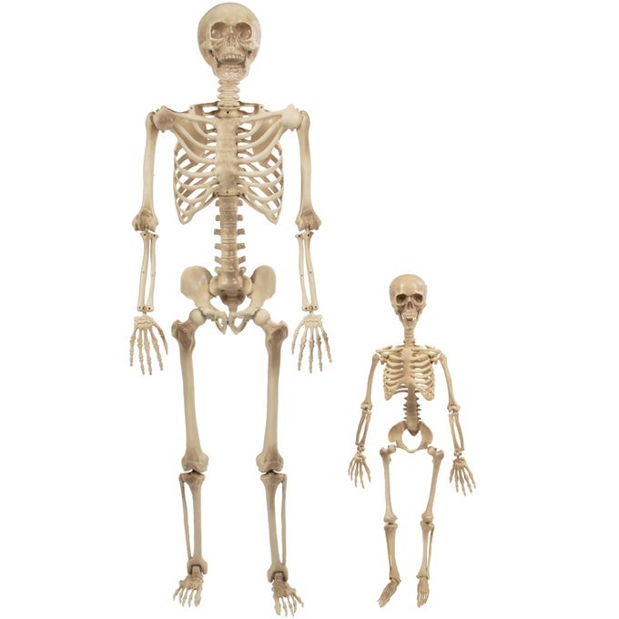 LIFE SIZE HUMAN SKELETON HALLOWEEN DECORATION VALUE 2 PACK ADULT 5 4 CHILD 2 ARTICULATED MOVABLE LIMBS WEATHER RESISTANT INDOOROUTDOOR UPGRADE YOUR FALL GRAVEYARD HAUNTED HOUSE PARTY PROPS