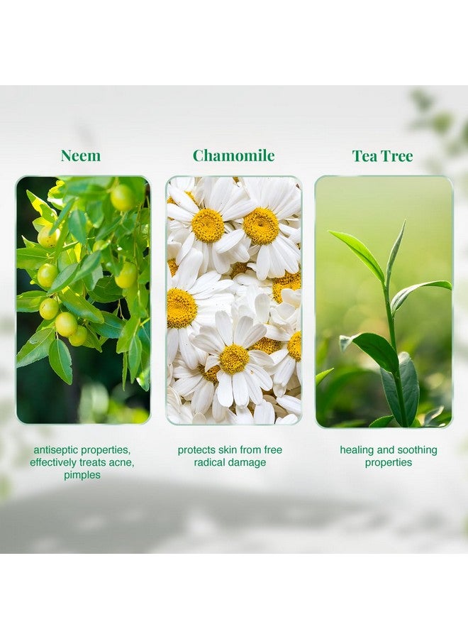 VLCC غسول وجه VLCC بنيم - 150 مل × 2 | اشترِ واحدة واحصل على واحدة مجانية (300 مل) | يحارب حب الشباب والبثور | يهدئ التهاب البشرة وتهيجها | مع النيم، البابونج، شجرة الشاي، الأوكاليبتوس وبذور الجزر. - Image 5