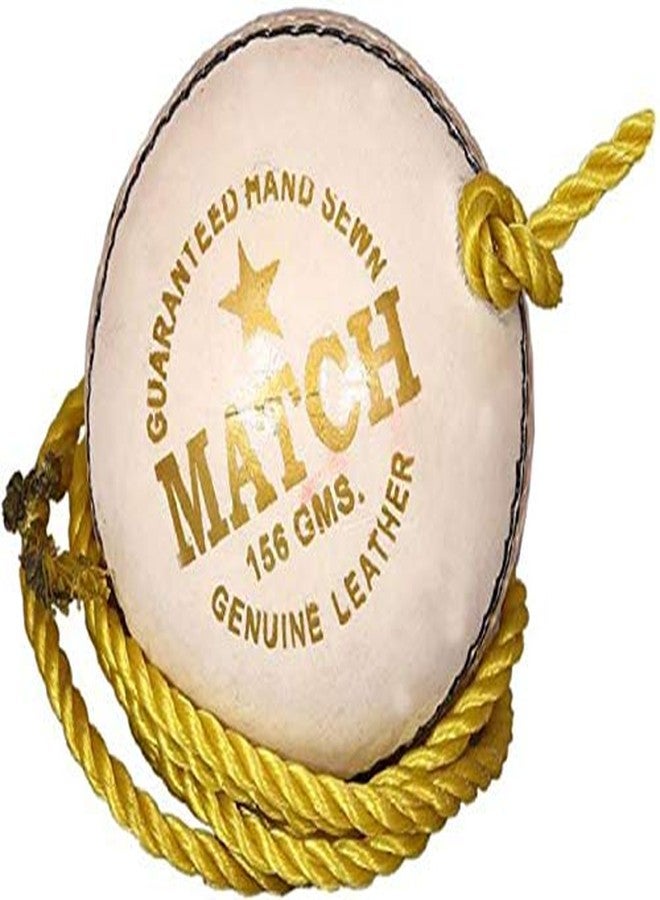 SPRIDE Leather Match Practice Hanging Cricket Ball White - Image 1