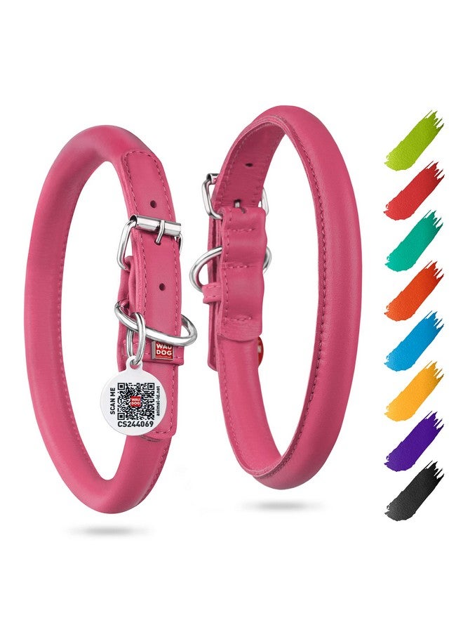 WAUDOG Ultra Soft Rolled Leather Dog Collar for Small Dogs - Soft Padded Dog Collars for Medium Dogs - Puppy Collars for Large Breed Dogs - Male and Female Dog Collar - Image 1