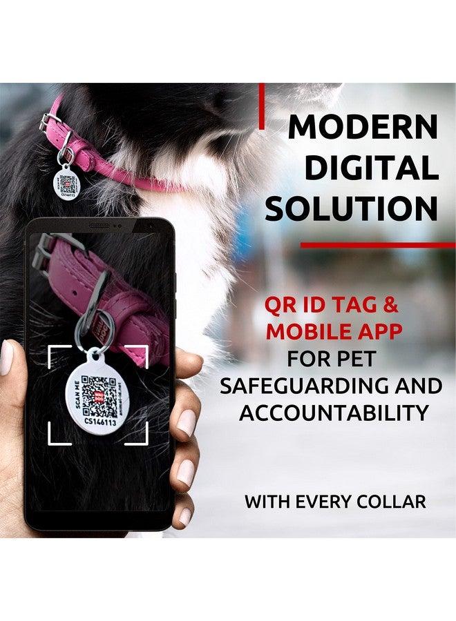 WAUDOG Ultra Soft Rolled Leather Dog Collar for Small Dogs - Soft Padded Dog Collars for Medium Dogs - Puppy Collars for Large Breed Dogs - Male and Female Dog Collar - Image 3