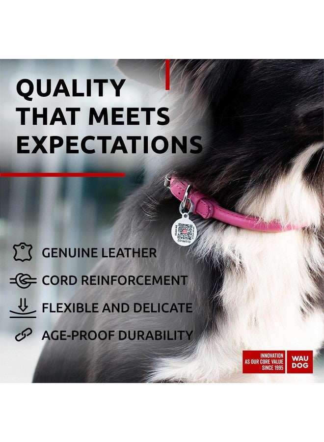 WAUDOG Ultra Soft Rolled Leather Dog Collar for Small Dogs - Soft Padded Dog Collars for Medium Dogs - Puppy Collars for Large Breed Dogs - Male and Female Dog Collar - Image 4