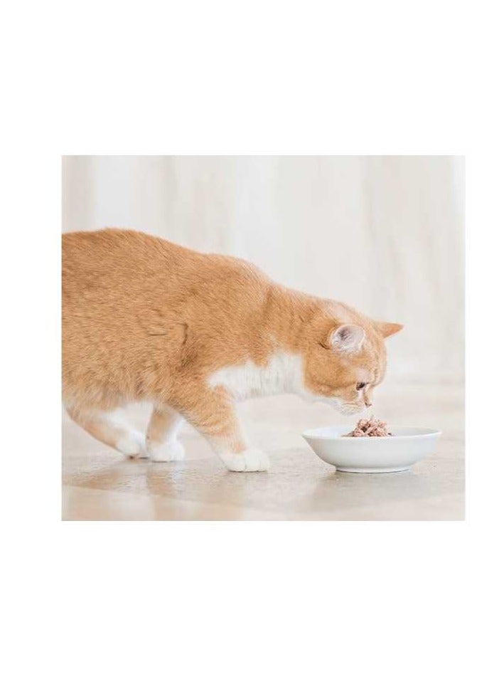 شيسر عبوتين من أرز الدجاج طعام رطب للقطط على الطريقة الطبيعية 12 × 50 جرام - Image 2