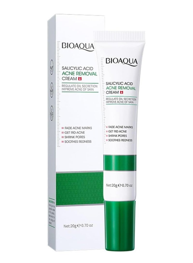 BIOAOUA Acne Spot Treatment Cream with Salicylic Acid, Tightening Pore Facial Cream, 20g - Image 1