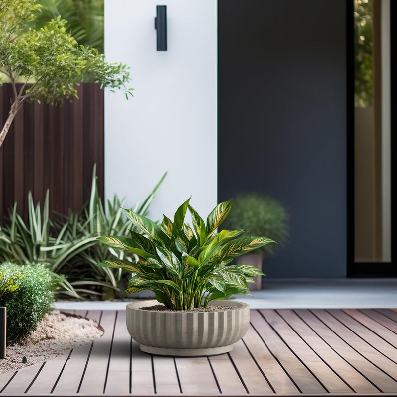 Kante Round Fluted Bowl Planter, 14.6 Inch Dia Large Concrete Flower Pots with Drainage Hole, Suitable for Indoor Outdoor Plants, Weathered Concrete Finish with Painted Interior - Image 5