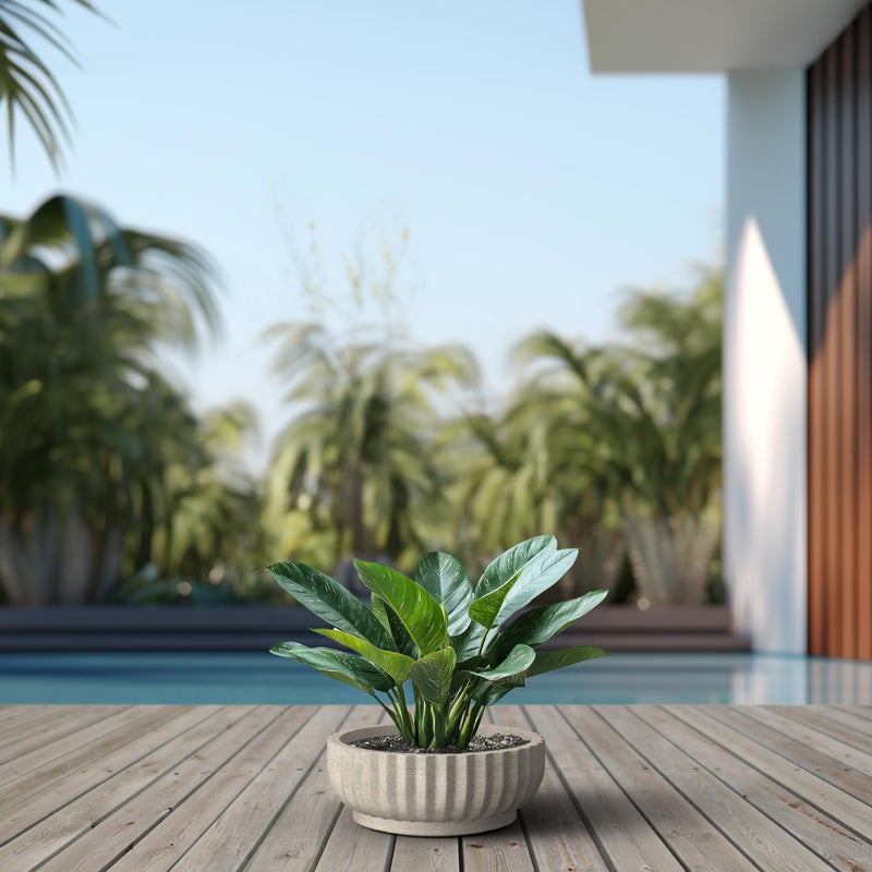 Kante Round Fluted Bowl Planter, 14.6 Inch Dia Large Concrete Flower Pots with Drainage Hole, Suitable for Indoor Outdoor Plants, Weathered Concrete Finish with Painted Interior - Image 4
