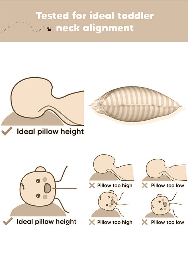 إي وورلد وسائد نوم للأطفال الصغار، بغطاء ناعم من مزيج القطن وحشوة من البوليستر، مثالية للاستخدام في المنزل وغرف الفنادق، عبوة من 2 متوفرة بلون كريمي أنيق - Image 3