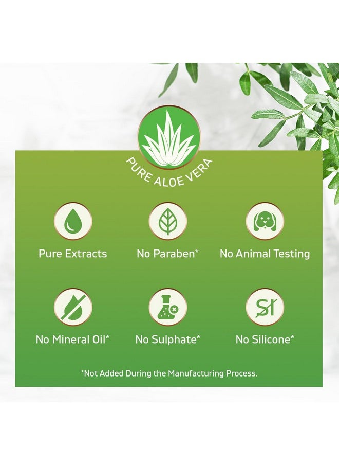 Belleza Solutions - Aloe Vera Soothing Gel From Freshly Cut 100% Pure Aloe Big 12Oz Vegan Unscented For Face Skin Hair Sunburn Relief (Cucumber) - Image 1