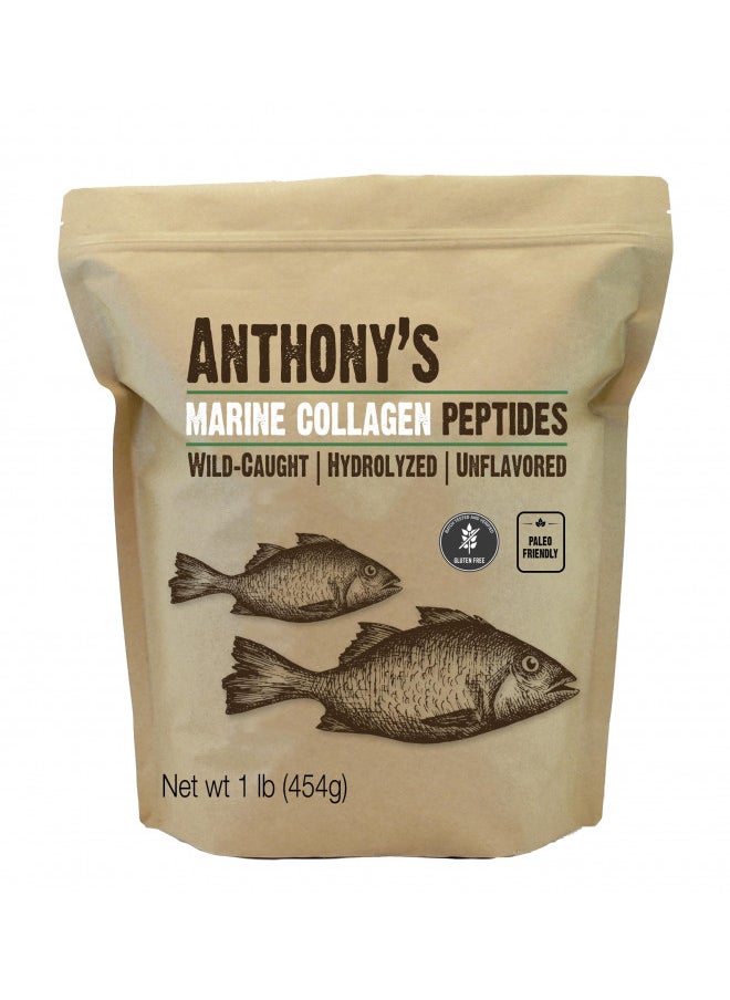 Anthony's - Anthony's Hydrolyzed Marine Collagen Peptides, Gluten-Free, Paleo and Keto Friendly, Unflavored, 1-Pound - Image 1