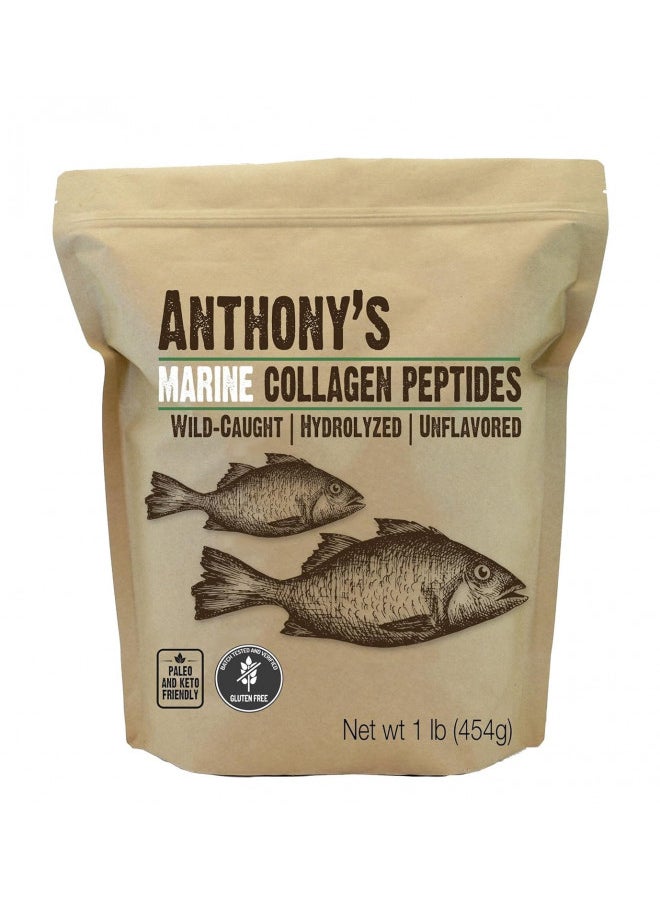 Anthony's - Anthony's Hydrolyzed Marine Collagen Peptides, Gluten-Free, Paleo and Keto Friendly, Unflavored, 1-Pound - Image 1