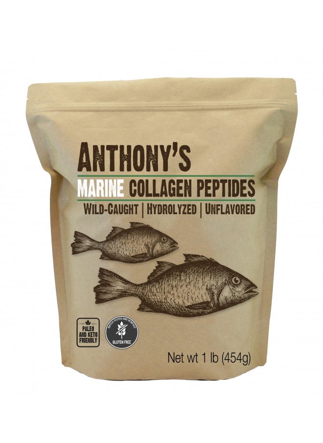 Anthony's - Anthony's Hydrolyzed Marine Collagen Peptides, Gluten-Free, Paleo and Keto Friendly, Unflavored, 1-Pound - Image 1